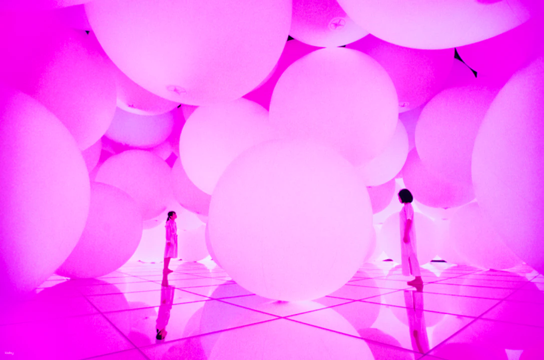 Japan TeamLab Planets TOKYO Ticket